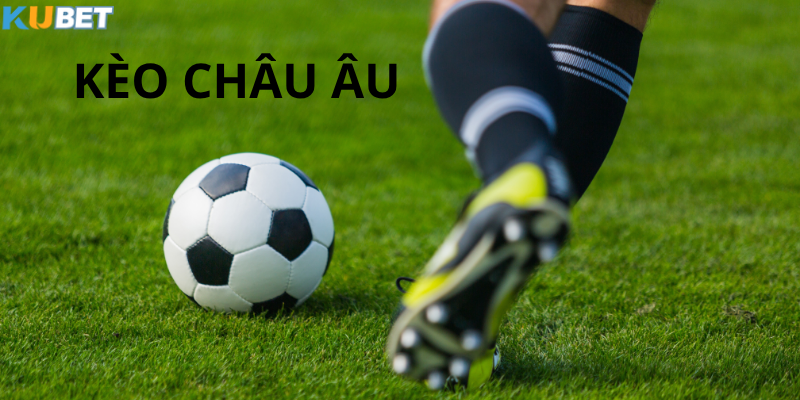 Kèo Châu Âu Kubet – Dành cho người mới bắt đầu