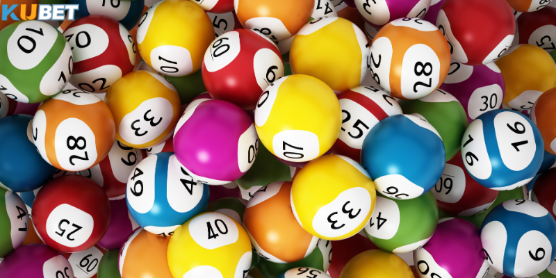 Tổng quan giới thiệu về bao lô 